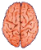 mozgani.png