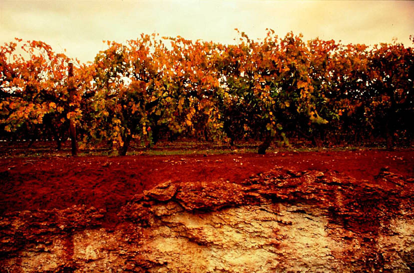 Terra_Rossa_Soil_profile.jpg