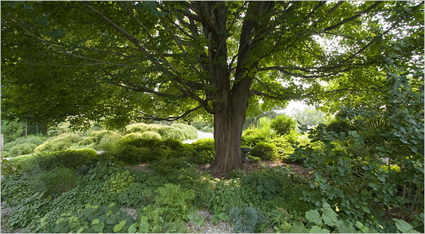 30garden-600.jpg
