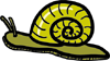 snail-vt.gif