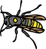 wasp-vt.gif