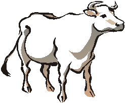 bik.png