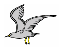 galeb.gif