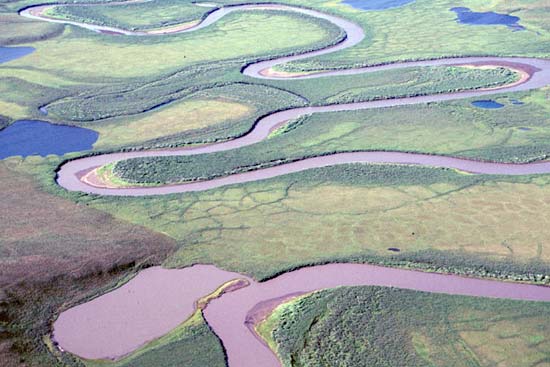 meander.jpg