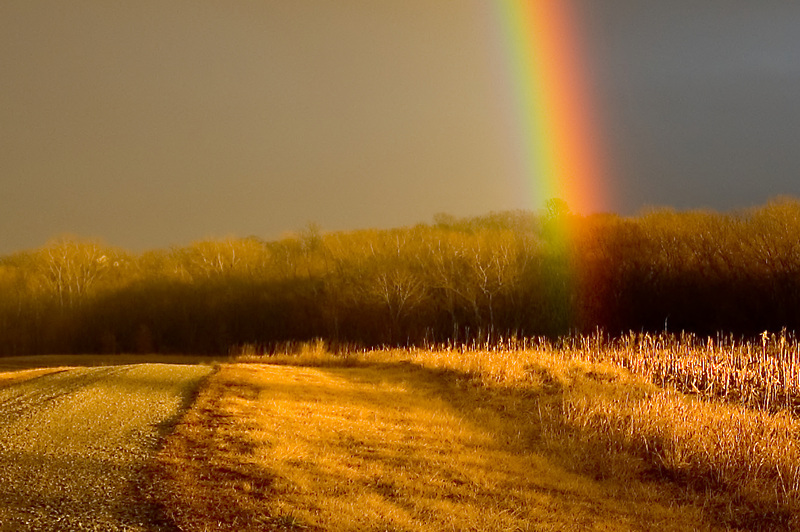 rainbow